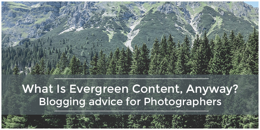 What Is Evergreen Content, Anyway? | Blogging advice for Photographers