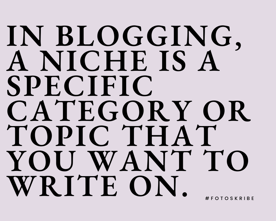 Infographic stating in blogging, a niche is a specific category or topic that you want to write on